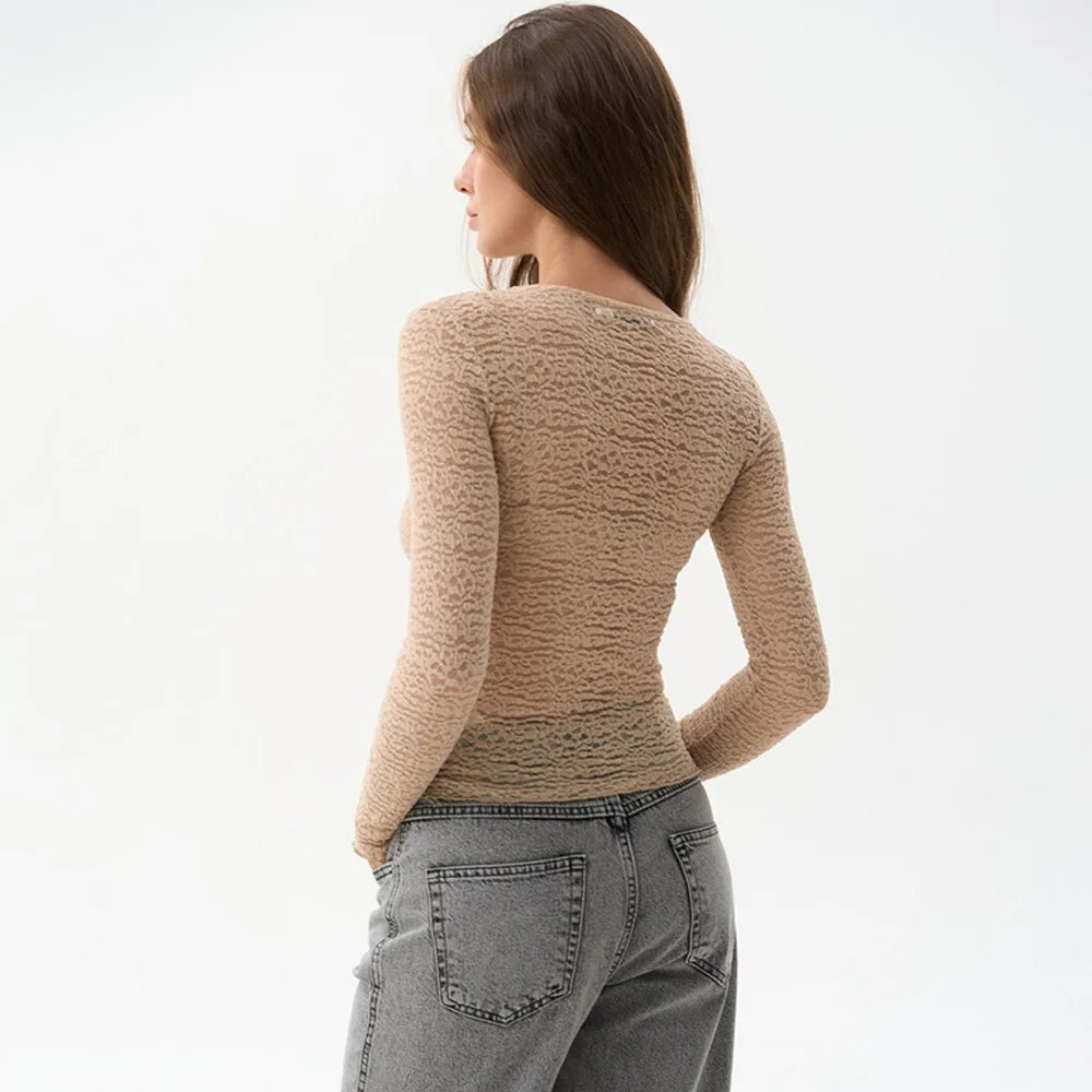 Sheer Lace Slim Round Neck Top